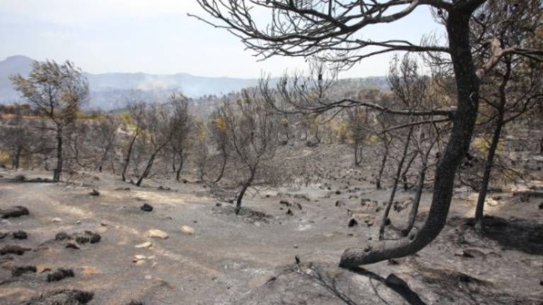 Controlado el incendio de Quesada