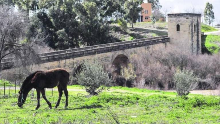 Begíjar sale del limbo