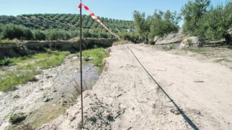Arreglo de caminos antes de comenzar la aceituna Arreglo de caminos antes de comenzar la aceituna