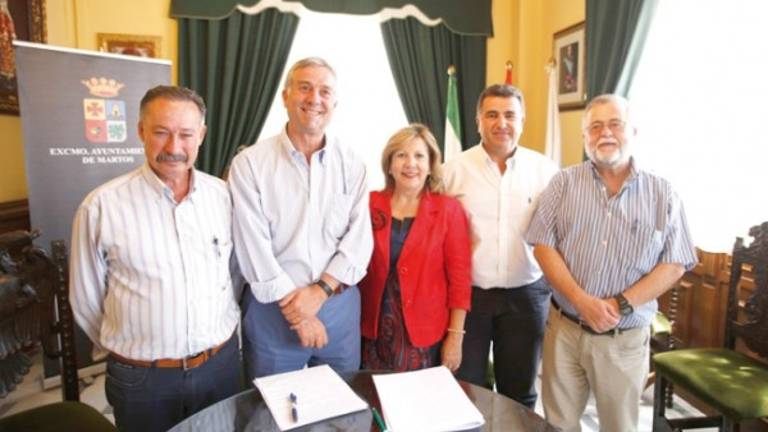 Luz definitiva en un mes en la ampliación del polígono Luz definitiva en un mes en la ampliación del polígono