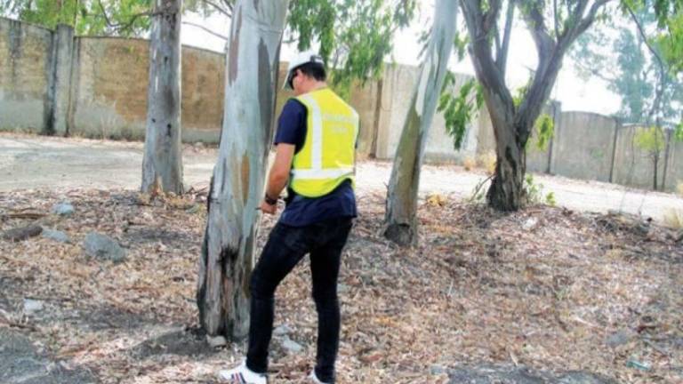 Detenido un menor como autor de cinco incendios Detenido un menor como autor de cinco incendios
