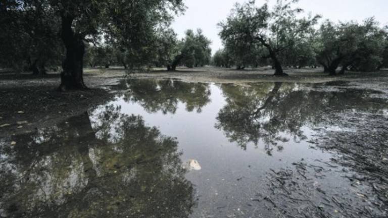Una manta de lluvia deja euros y algún susto Una manta de lluvia deja euros y algún susto