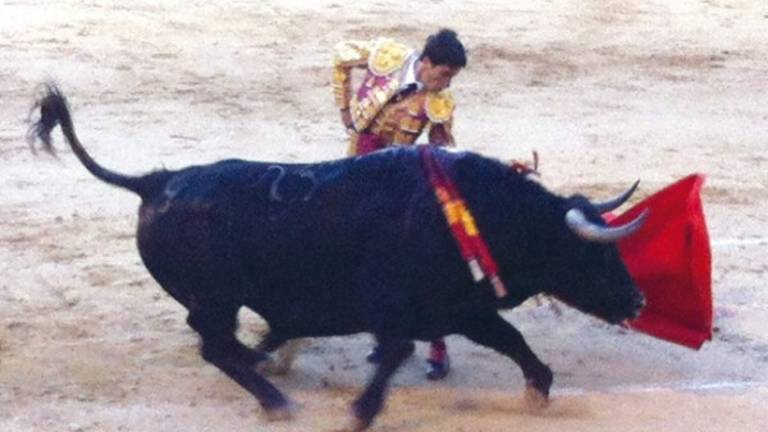 La casta ante la adversidad La casta ante la adversidad