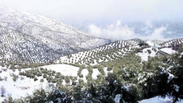 La nieve alcanza las sierras y cubre varios pueblos de blanco La nieve alcanza las sierras y cubre varios pueblos de blanco