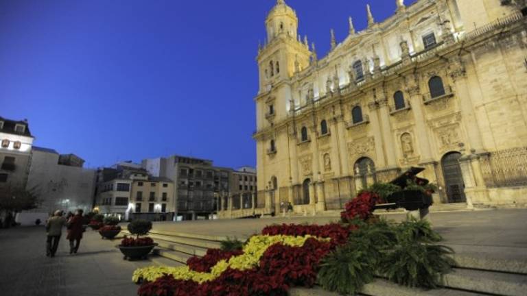 Roban las flores de pascuas ubicadas frente a la Catedral y valoradas en 1.200 euros Roban las flores de pascuas ubicadas frente a la Catedral y valoradas en 1.200 euros