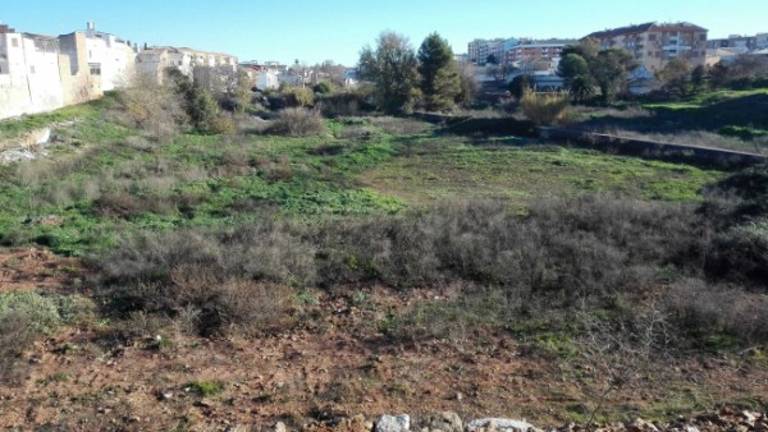 El Ayuntamiento pide fondos europeos para el Periquito Melchor El Ayuntamiento pide fondos europeos para el Periquito Melchor