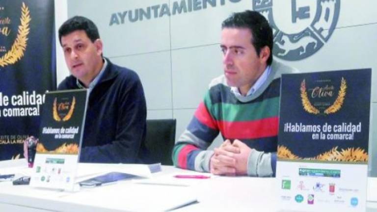 Un concurso para fomentar los aceites de gran calidad Un concurso para fomentar los aceites de gran calidad