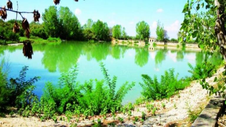 Plan para garantizar el riego y salvar La Laguna Plan para garantizar el riego y salvar La Laguna