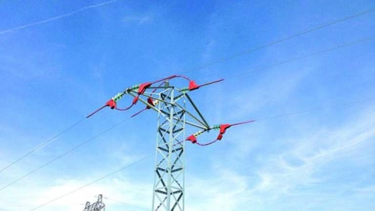 Endesa aísla dos torres en las que se electrocutaron 50 aves