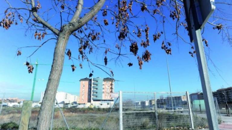 El terreno del Conservatorio comienza a “liberarse” El terreno del Conservatorio comienza a “liberarse”
