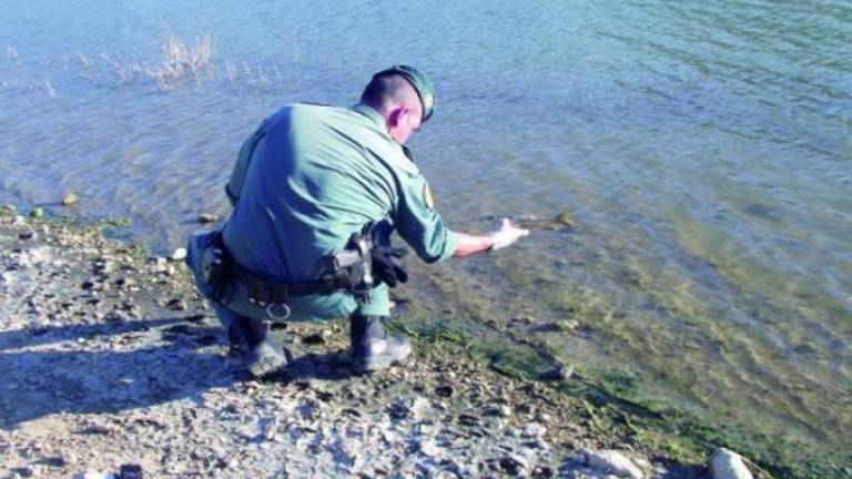 Peces muertos flotan en el Víboras