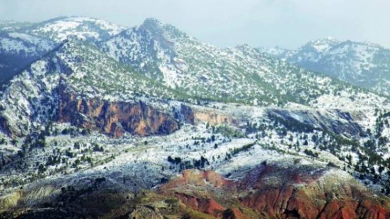 La nieve abandona el olivar La nieve abandona el olivar