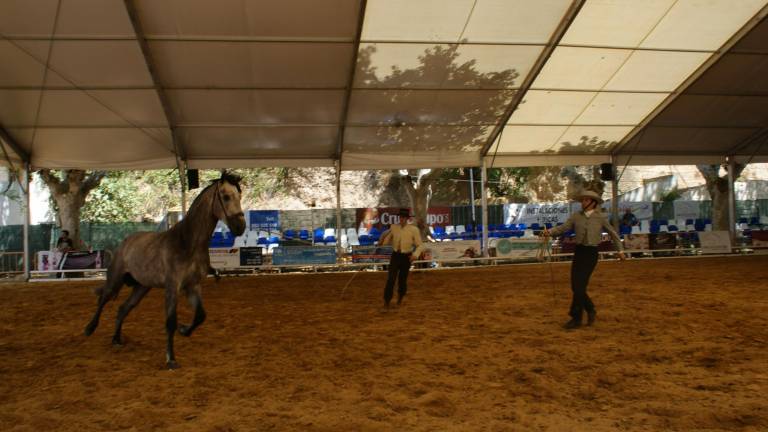 La Yeguada SR4 triunfa en la arena de Anducab La Yeguada SR4 triunfa en la arena de Anducab