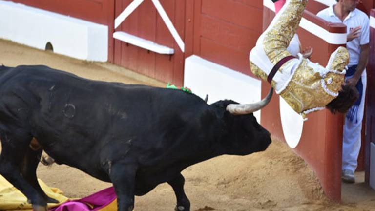 Cogida y una oreja en Francia para Lamelas