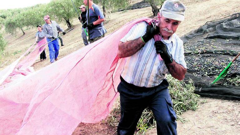 La Guardia Civil pide que se avise de la recogida nocturna