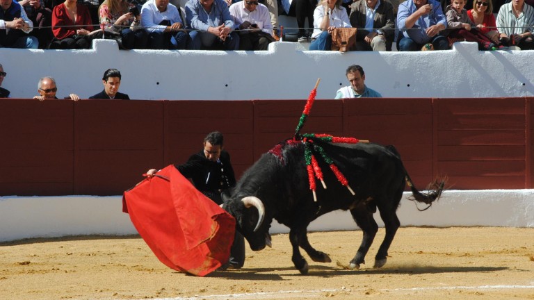 Un gran festival celebra un siglo de toreo en Pegalajar