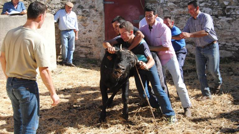 El herradero de la bravura El herradero de la bravura