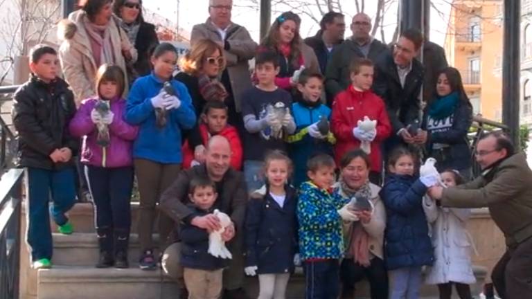 Marcha contra toda violencia Marcha contra toda violencia