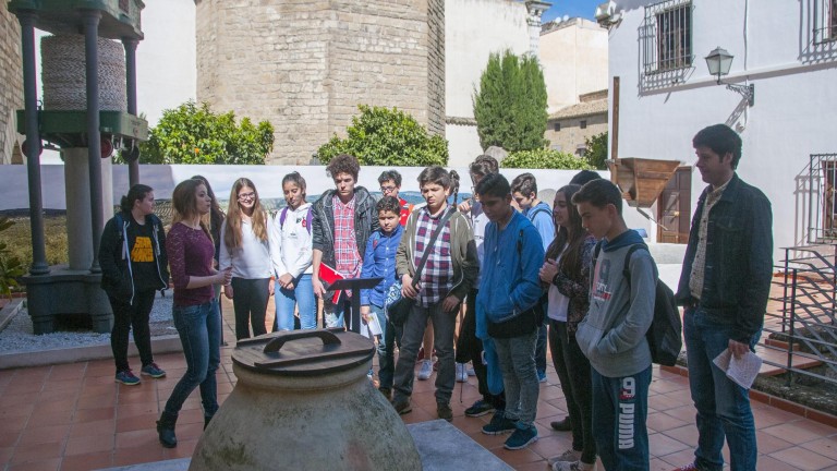 Alumnos de Granada conocen la cultura del aceite