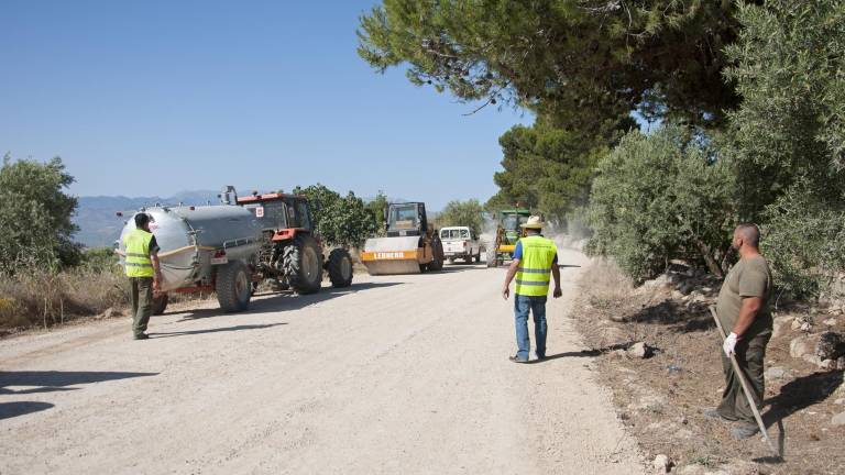 Adecuación de caminos rurales de cara a la campaña de aceituna Adecuación de caminos rurales de cara a la campaña de aceituna