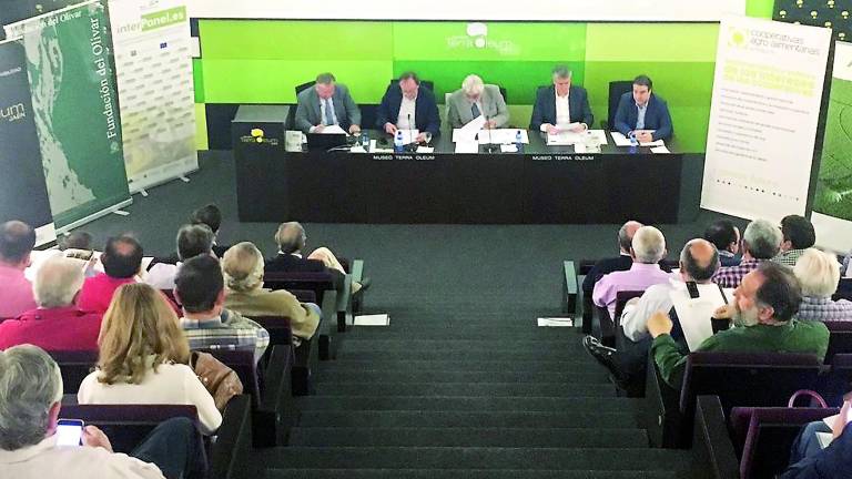 El aceite deja 1.123 millones en las fábricas cooperativas El aceite deja 1.123 millones en las fábricas cooperativas