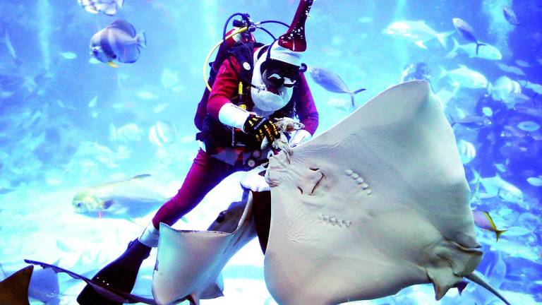 Un Papá Noel que no para ni debajo del agua Un Papá Noel que no para ni debajo del agua