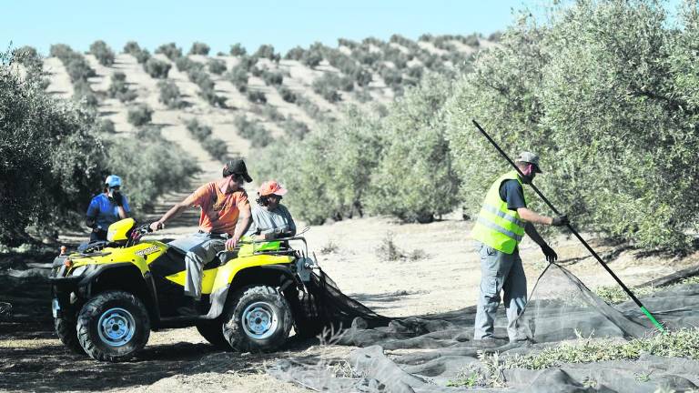 Un vacío legal vale para recibir ayudas para comprar un quad