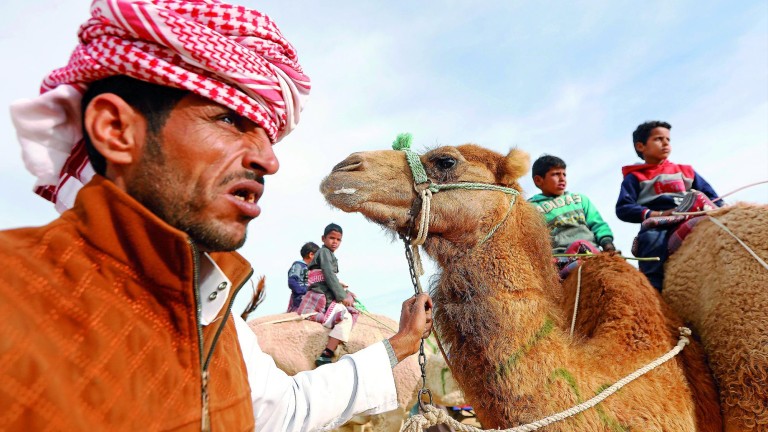 Jinetes precoces en las carreras de camellos