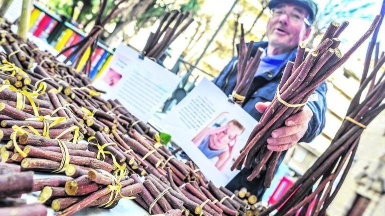 A nadie le amarga un dulce... paloduz A nadie le amarga un dulce... paloduz