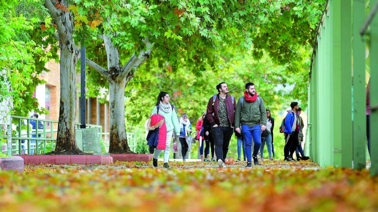 El otoño también “accede” a la Universidad