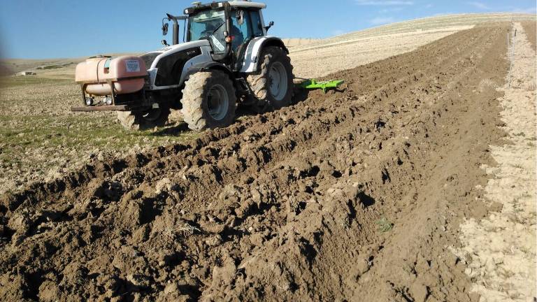 La “huerta” de Mágina