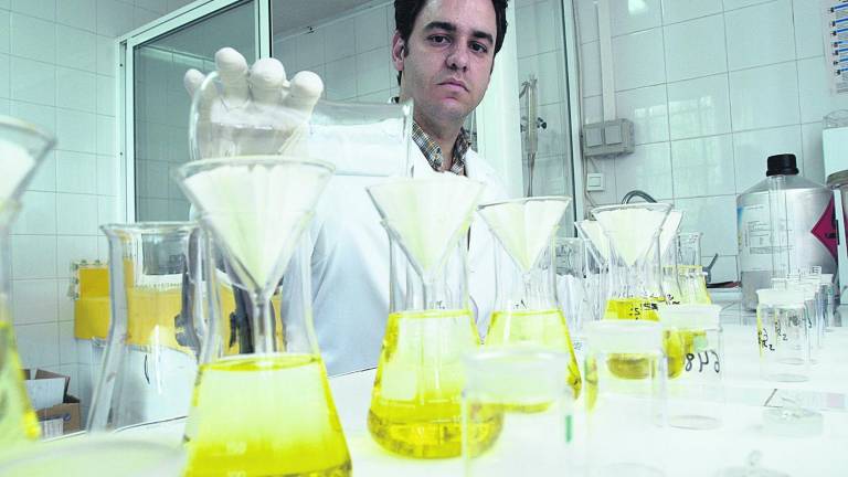 Los científicos estudian “con lupa” el gran potencial del aceite de oliva Los científicos estudian “con lupa” el gran potencial del aceite de oliva
