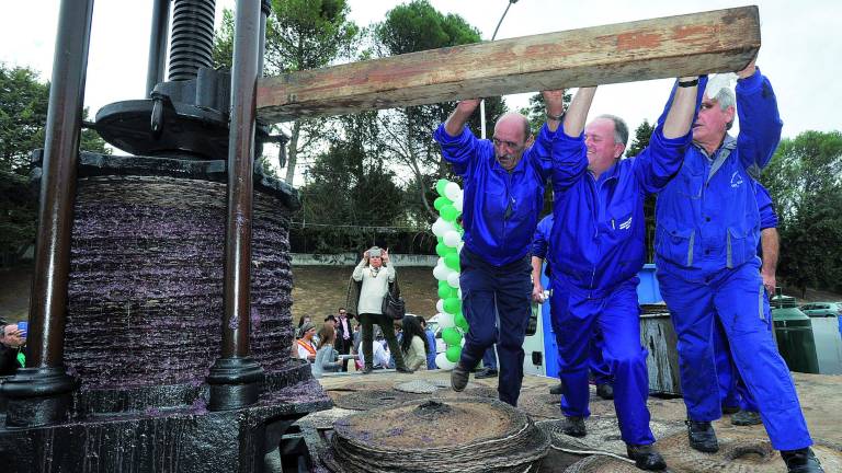 La fiesta del orgullo aceitunero se reinventa para el oleoturismo La fiesta del orgullo aceitunero se reinventa para el oleoturismo