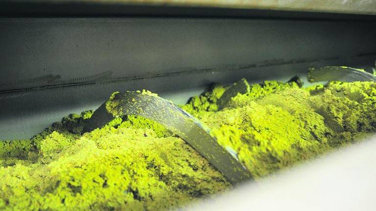 El aceite recién hecho se paga a granel a 4,2 euros por kilo El aceite recién hecho se paga a granel a 4,2 euros por kilo