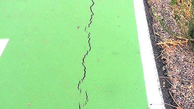 Malezas y grietas en el carril bici Malezas y grietas en el carril bici