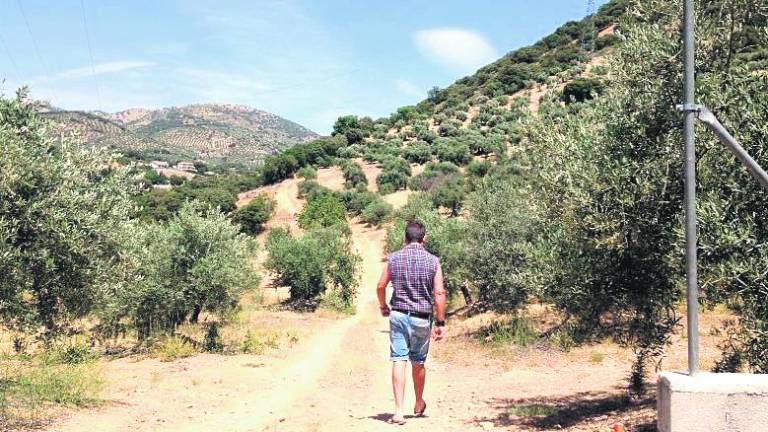 Frailes tendrá una carretera de circunvalación para 2017 Frailes tendrá una carretera de circunvalación para 2017