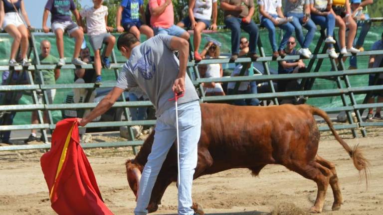 Espectaculares estampas taurinas Espectaculares estampas taurinas