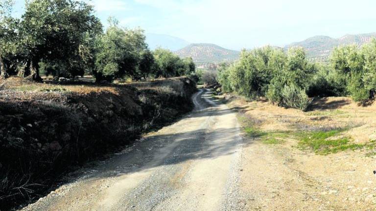 Ayudas a los ayuntamientos para arreglos de caminos rurales Ayudas a los ayuntamientos para arreglos de caminos rurales