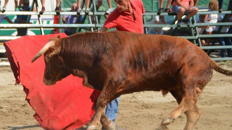 Espectaculares estampas taurinas Espectaculares estampas taurinas