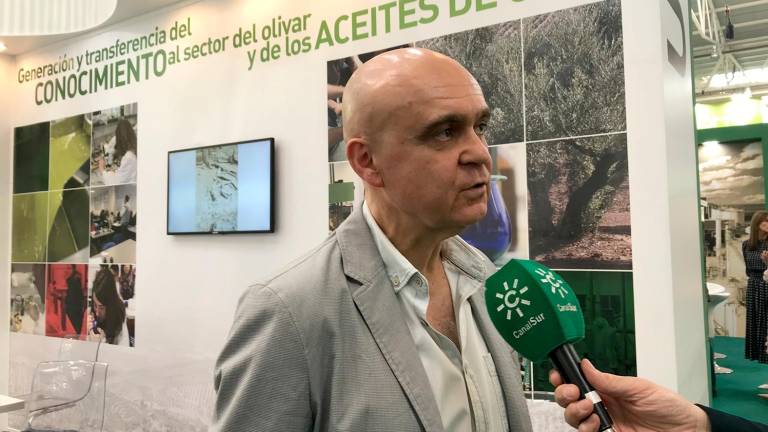 La UJA describe que un compuesto del Aceite favorece la cicatrización de heridas La UJA describe que un compuesto del Aceite favorece la cicatrización de heridas