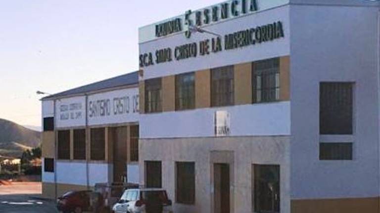 La campaña de la aceituna crece un 16% este año La campaña de la aceituna crece un 16% este año