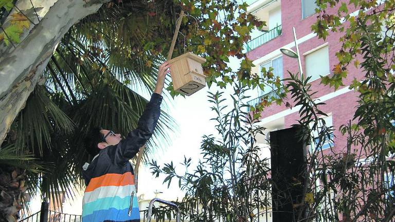 Una jornada para mejorar la biodiversidad urbana local Una jornada para mejorar la biodiversidad urbana local