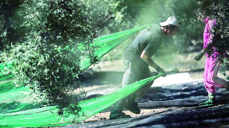 El Gobierno garantiza el paro agrario para los temporeros