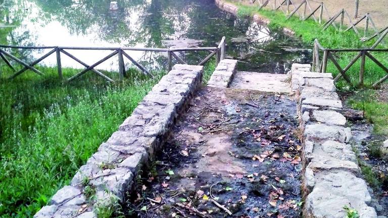 Medio Ambiente se involucra para intervenir en Fuenmayor