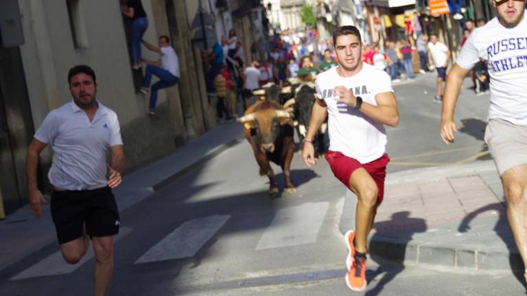 El toro, principal protagonista