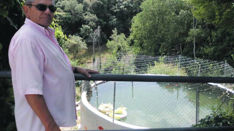 Denuncia en La Pedriza por el “envenenamiento” de 80 peces Denuncia en La Pedriza por el “envenenamiento” de 80 peces