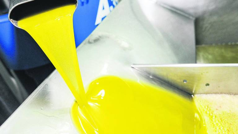 Europa halla menos cosecha de aceite de la que esperaba Europa halla menos cosecha de aceite de la que esperaba