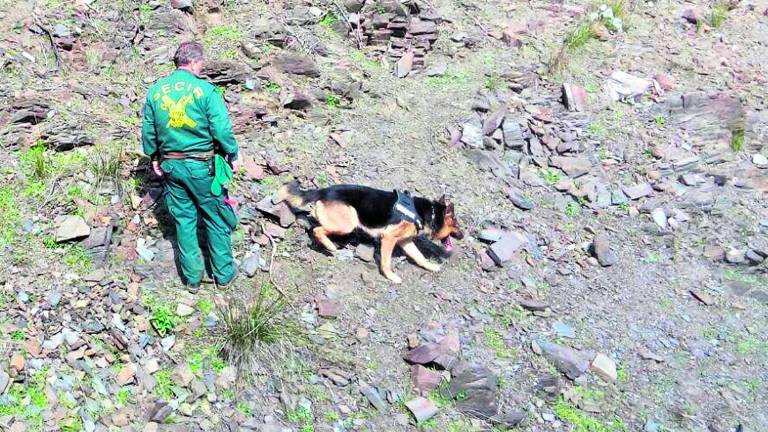 “Esperamos que aparezca pronto y acabe la pesadilla”