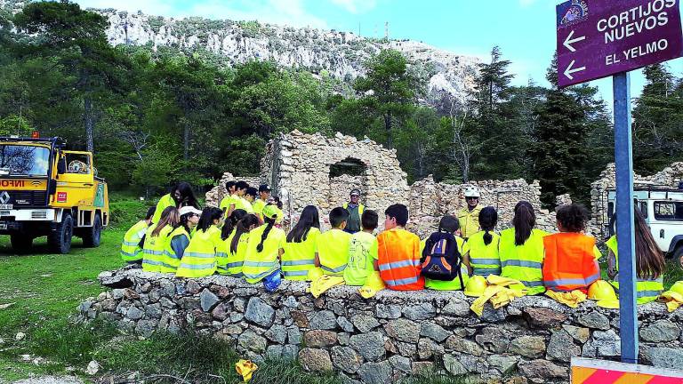 Talleres ambientales en zonas afectadas por los incendios Talleres ambientales en zonas afectadas por los incendios