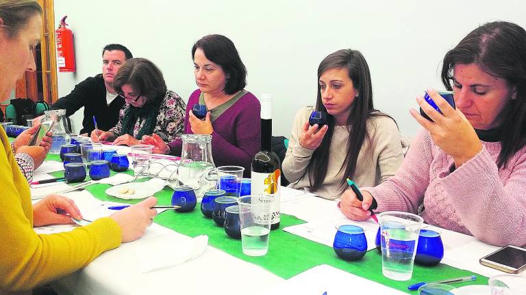 La denominación de origen del aceite cumple 40 años La denominación de origen del aceite cumple 40 años